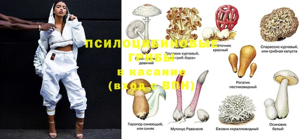 каннабис Алзамай